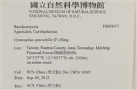 登錄號:F0038071藏品圖，第2張
