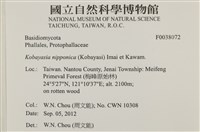 登錄號:F0038072藏品圖，第2張