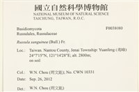登錄號:F0038080藏品圖，第2張