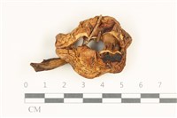 登錄號:F0038081藏品圖，第1張