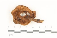 登錄號:F0038081藏品圖，第3張