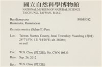 登錄號:F0038082藏品圖，第2張