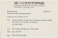 登錄號:F0038083藏品圖，第2張