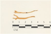 登錄號:F0038083藏品圖，第1張