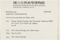 登錄號:F0038086藏品圖，第2張