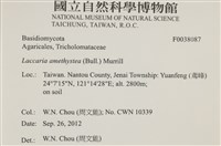 登錄號:F0038087藏品圖，第2張