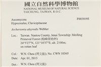 登錄號:F0038095藏品圖，第2張