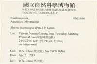 登錄號:F0038096藏品圖，第2張