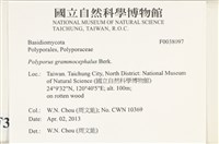 登錄號:F0038097藏品圖，第2張