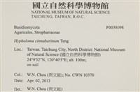 登錄號:F0038098藏品圖，第2張