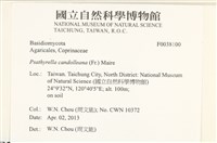 登錄號:F0038100藏品圖，第2張