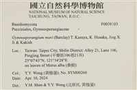 登錄號:F0038103藏品圖，第2張