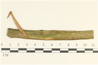 登錄號:F0038104藏品圖，第1張