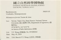 登錄號:F0038105藏品圖，第2張