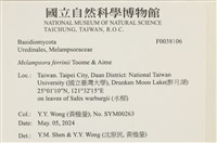 登錄號:F0038106藏品圖，第2張