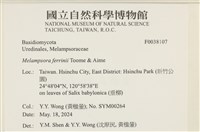 登錄號:F0038107藏品圖，第2張