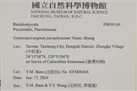 登錄號:F0038109藏品圖，第2張