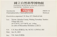 登錄號:F0038110藏品圖，第2張