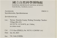 登錄號:F0038111藏品圖，第2張