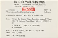 登錄號:F0038112藏品圖，第2張