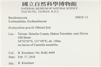 登錄號:F0038113藏品圖，第2張