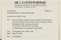 登錄號:F0038117藏品圖，第2張