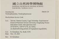 登錄號:F0038129藏品圖，第2張