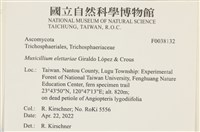 登錄號:F0038132藏品圖，第2張