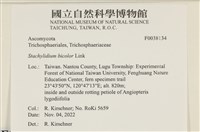 登錄號:F0038134藏品圖，第2張