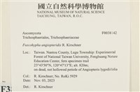 登錄號:F0038142藏品圖，第2張