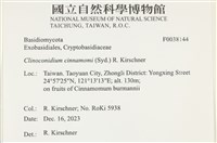 登錄號:F0038144藏品圖，第2張