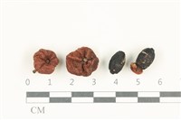 登錄號:F0038144藏品圖，第1張