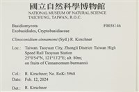 登錄號:F0038146藏品圖，第2張