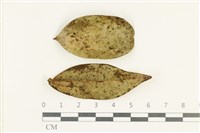 登錄號:F0038146藏品圖，第1張