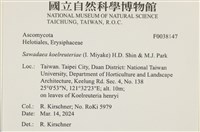登錄號:F0038147藏品圖，第2張