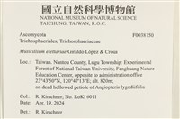 登錄號:F0038150藏品圖，第2張