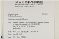 登錄號:F0038154藏品圖，第2張