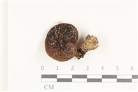 登錄號:F0038154藏品圖，第1張