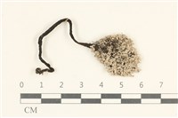 登錄號:F0038155藏品圖，第1張