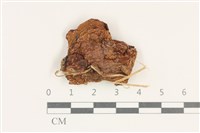 登錄號:F0038156藏品圖，第1張