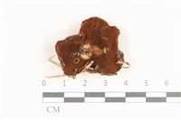 登錄號:F0038156藏品圖，第3張