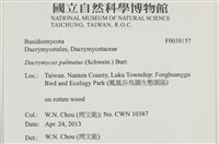 登錄號:F0038157藏品圖，第2張