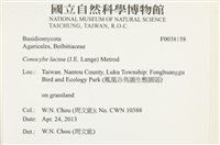登錄號:F0038158藏品圖，第2張
