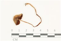登錄號:F0038158藏品圖，第1張