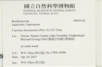 登錄號:F0038160藏品圖，第2張