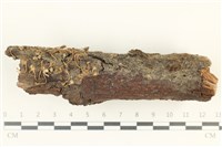 登錄號:F0038160藏品圖，第1張