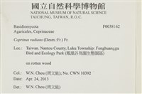 登錄號:F0038162藏品圖，第2張