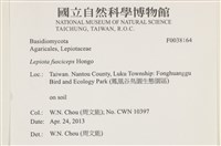 登錄號:F0038164藏品圖，第2張