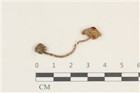 登錄號:F0038164藏品圖，第1張