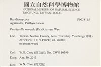 登錄號:F0038165藏品圖，第2張